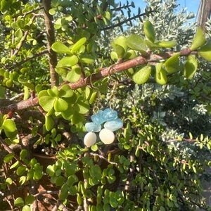 Blue and White Dangle Earrings